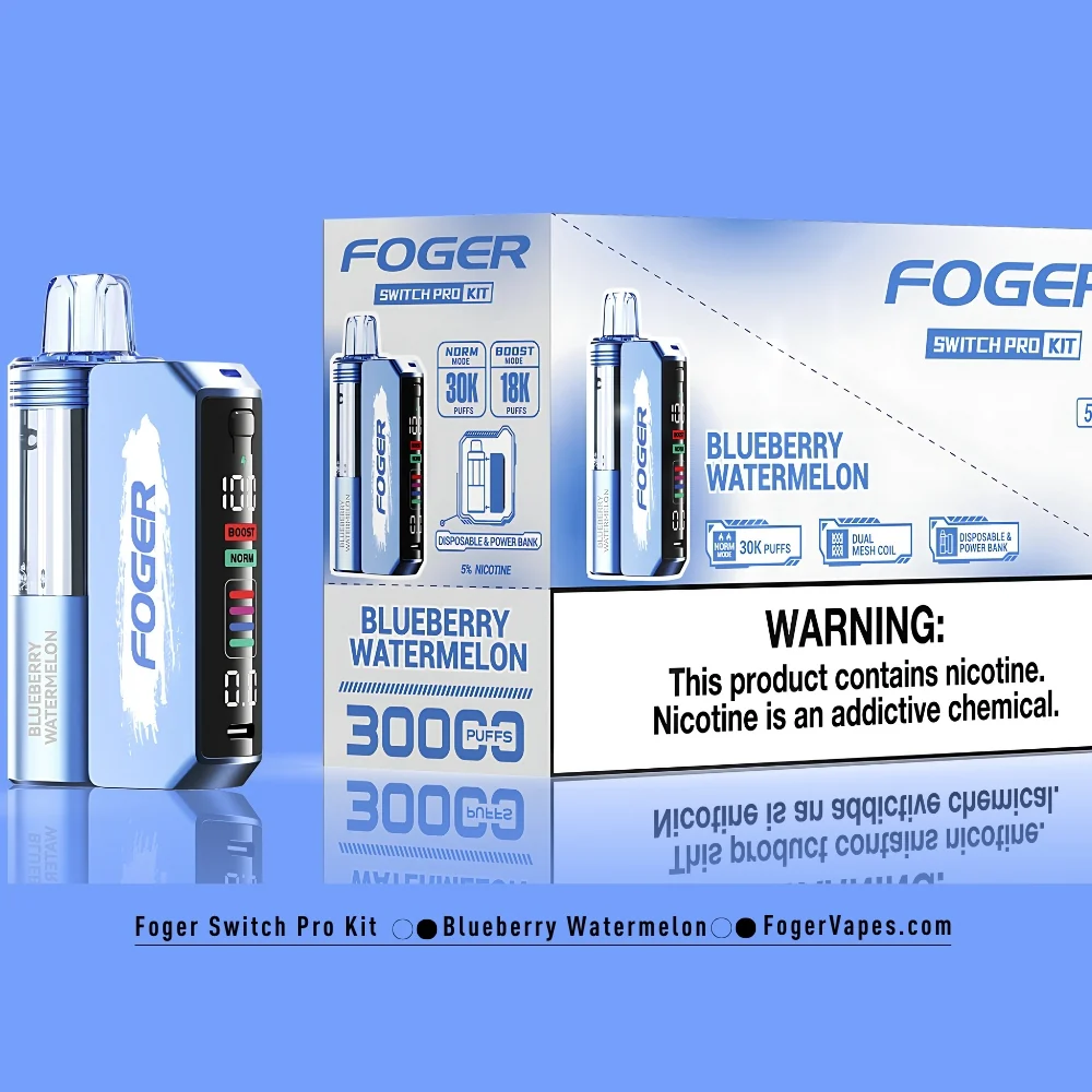 Blueberry Watermelon Foger Switch Pro Kit 30K Puffs - Image 5