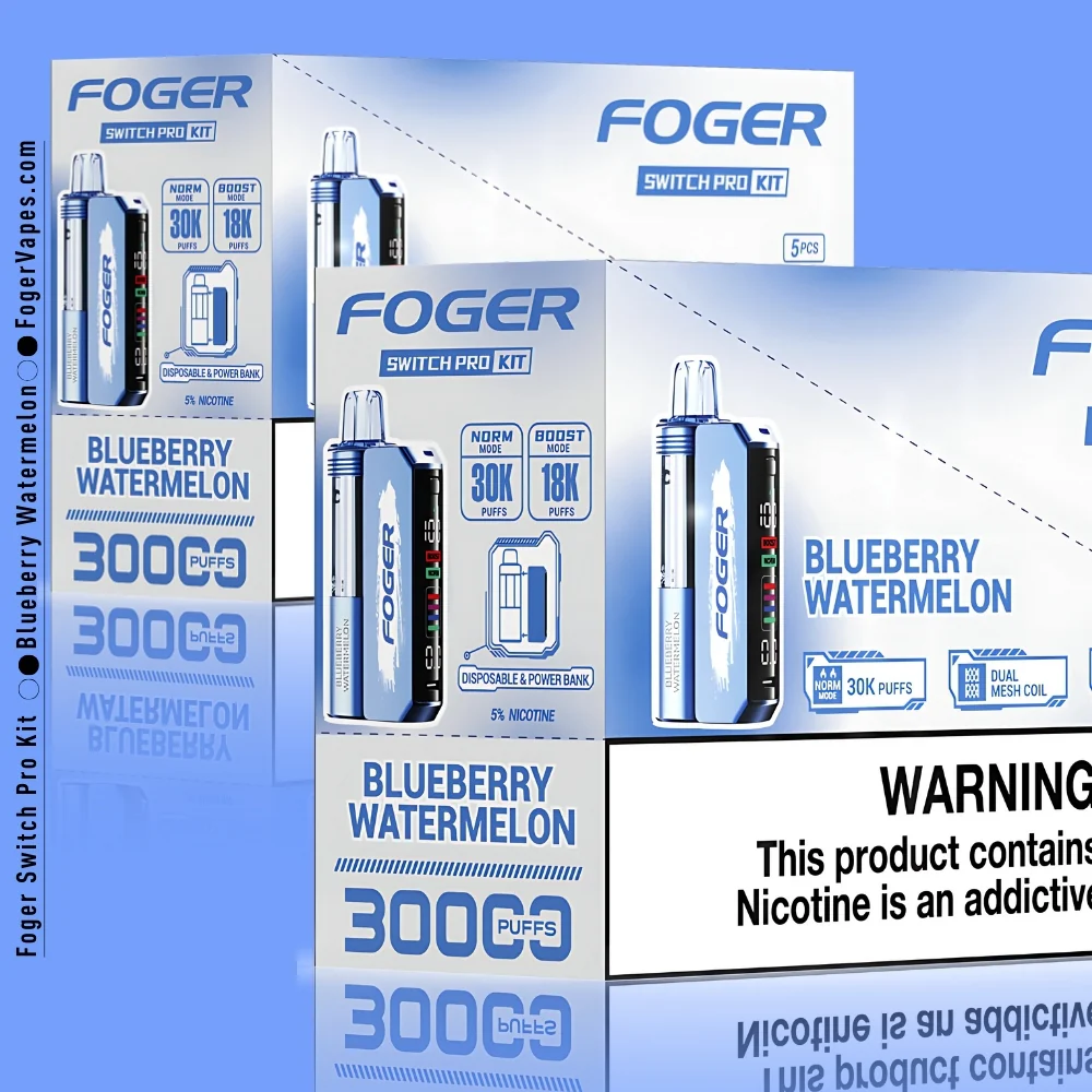 Blueberry Watermelon Foger Switch Pro Kit 30K Puffs - Image 6