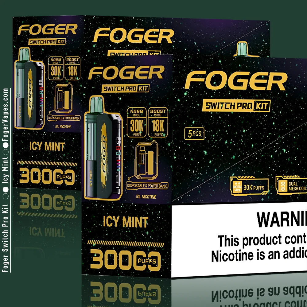 Icy Mint Foger Switch Pro Kit 30K Puffs - Image 5